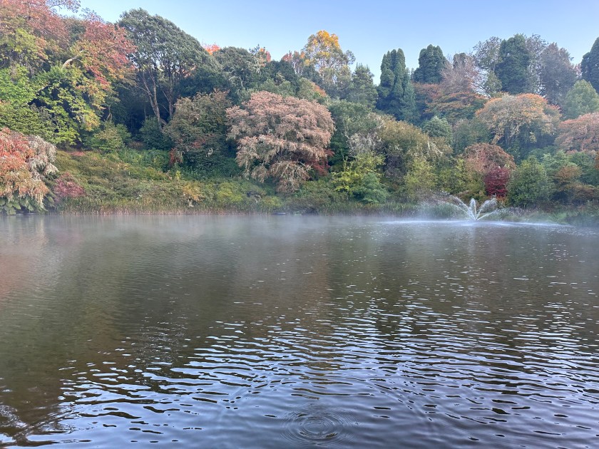 Africamps, Magoebaskloof: meertje tussen tropische begroeiing. 