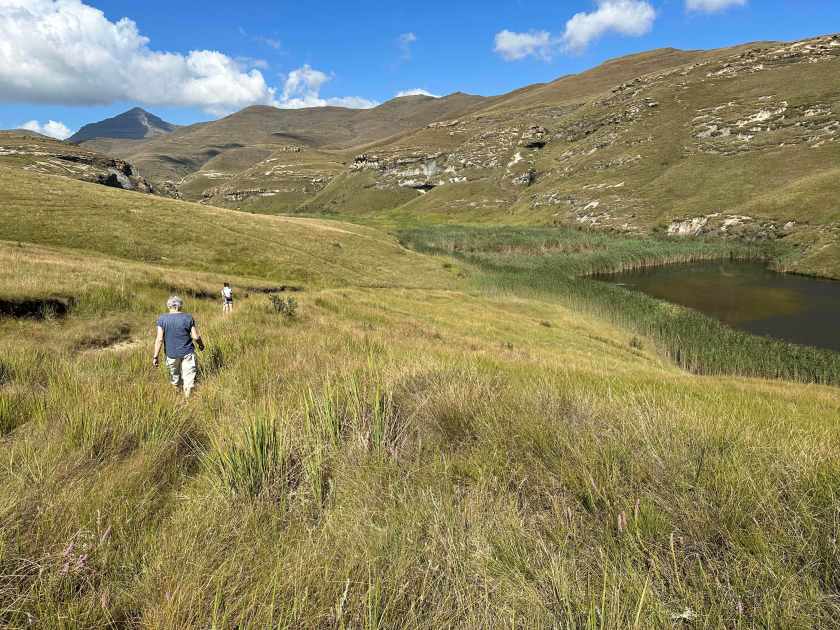Langtoon dam: glooiende hellingen met gras. 