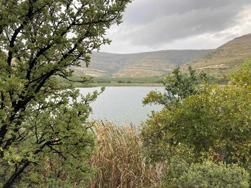 Clarens: meertje aan de dam.