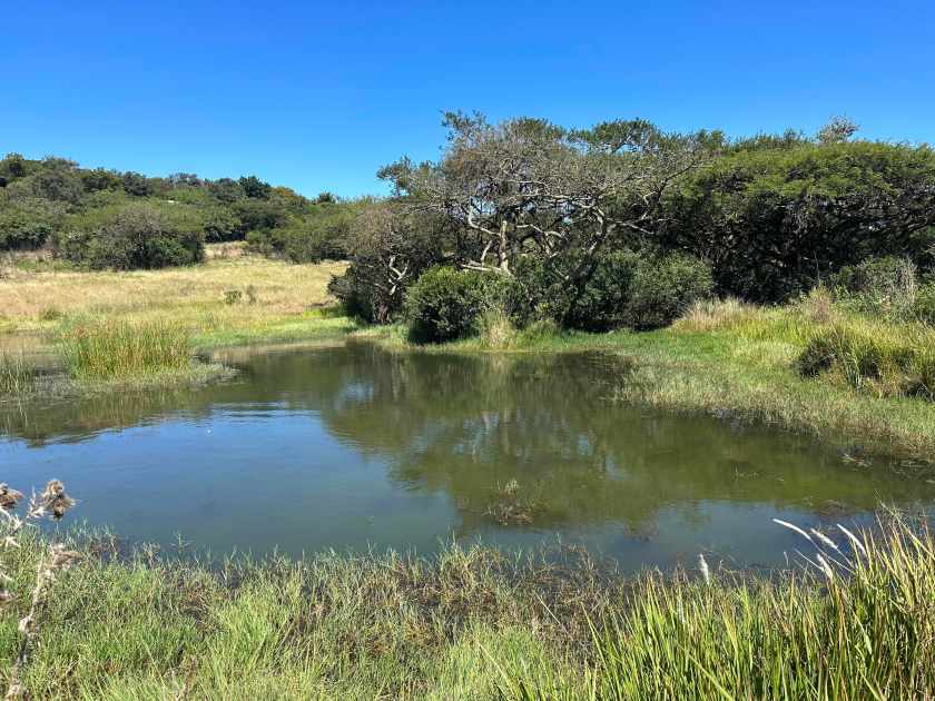 Vijver in Afrikaans landschap. 
