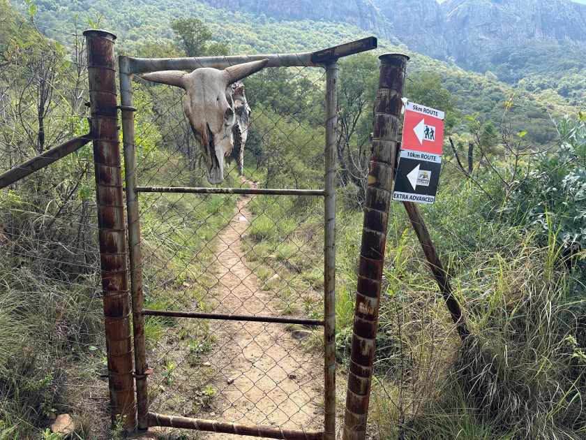 IJzeren toegangshek tot natuurwandeling met schedel van antilope.