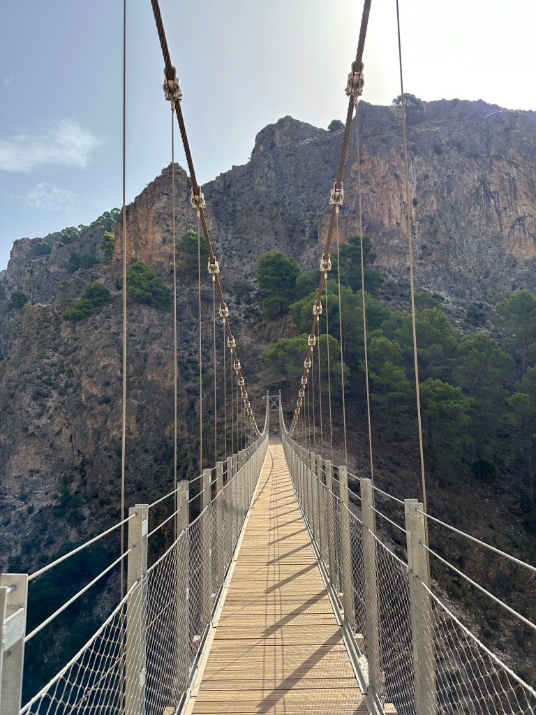 Hangbrug loopt naar het midden van de foto. 
