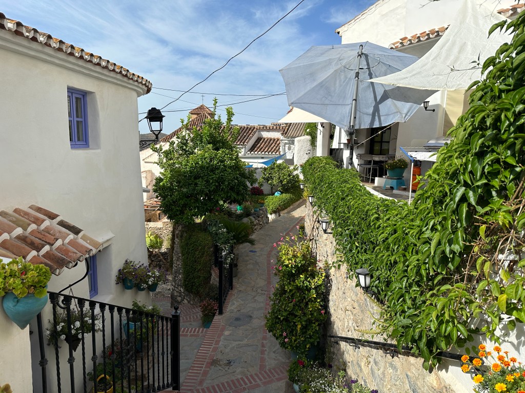 Tuintjes en overgroeide muren in Salares. 