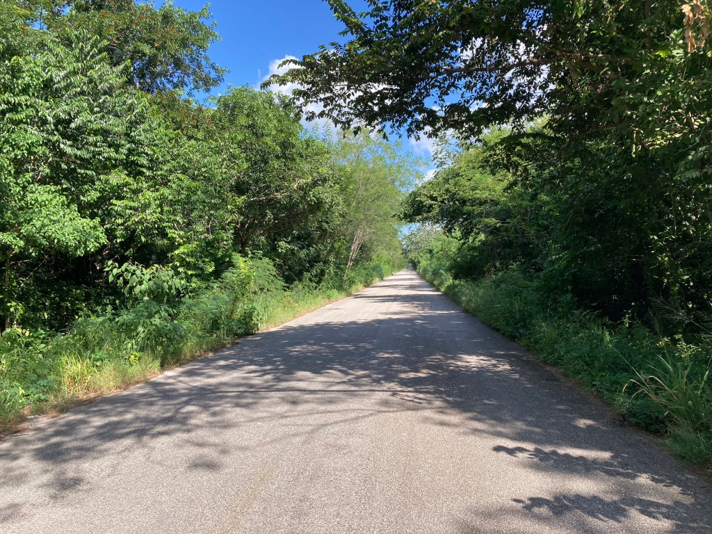 Rechte verlaten straten tussen het goen dicht bij Rio Lagartos. 