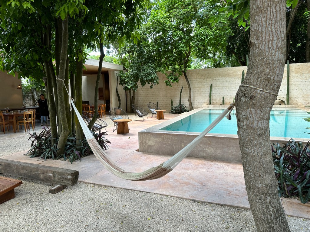 Zwembad van Casona los Cedros onder de cederbomen; hangmat op de voorgrond. 