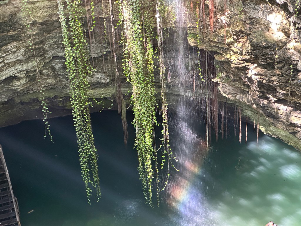 Afhangende bladeren en regnboog boven het oppervlak van de cenote-bodem. 