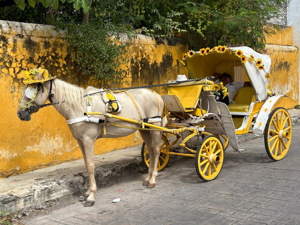 Toeristische paardenkoets in het wit en geel; het paard heeft een okergele hoed op.