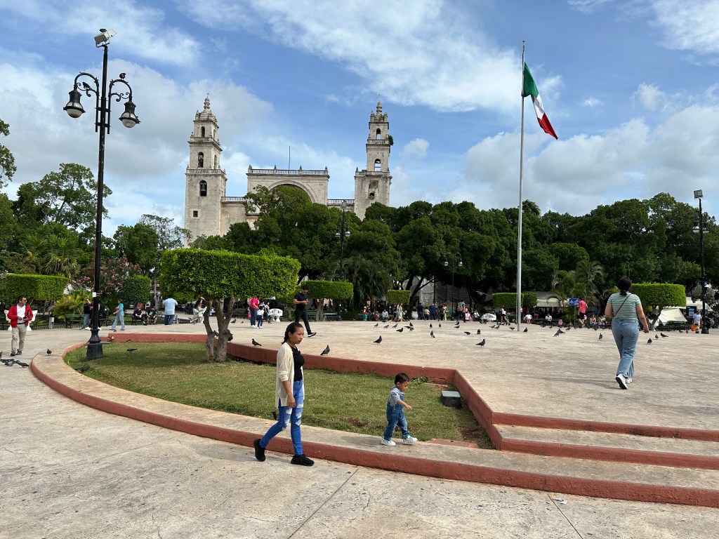 Groot plein met duiven, toeristen en kathedraal. 
