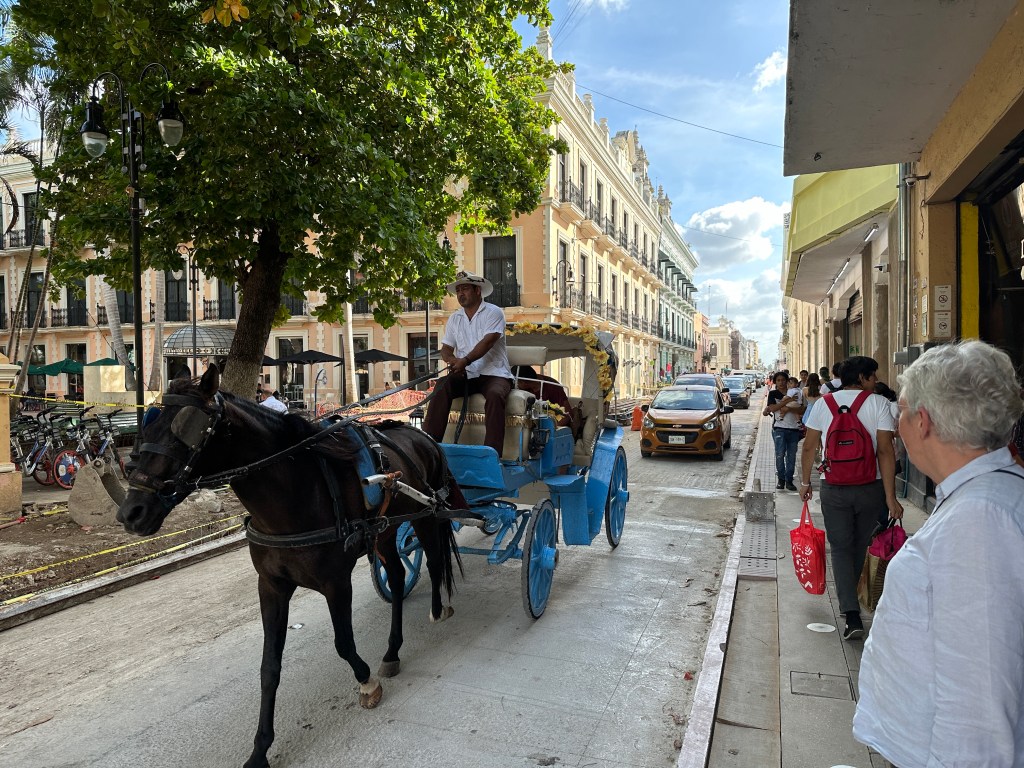 Blauwe paardenkoets in smalle straat van Mérida. 