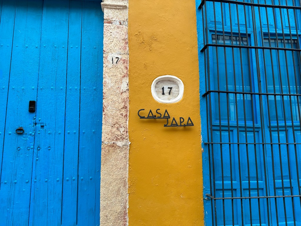 Casa japa gevl: blauwe deuren met in het midden een okergele strook