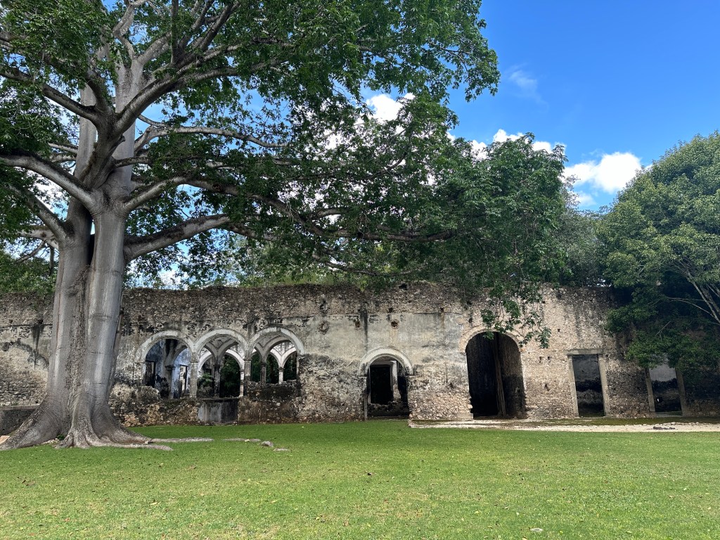 Ruïne van een gebouw met bogen en een kapok-boom. 