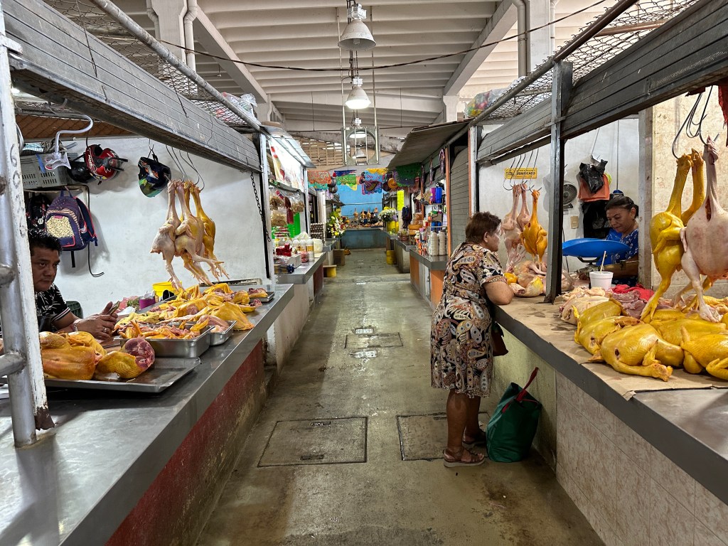 Gang op overdekte markt met geslachte kippen. 