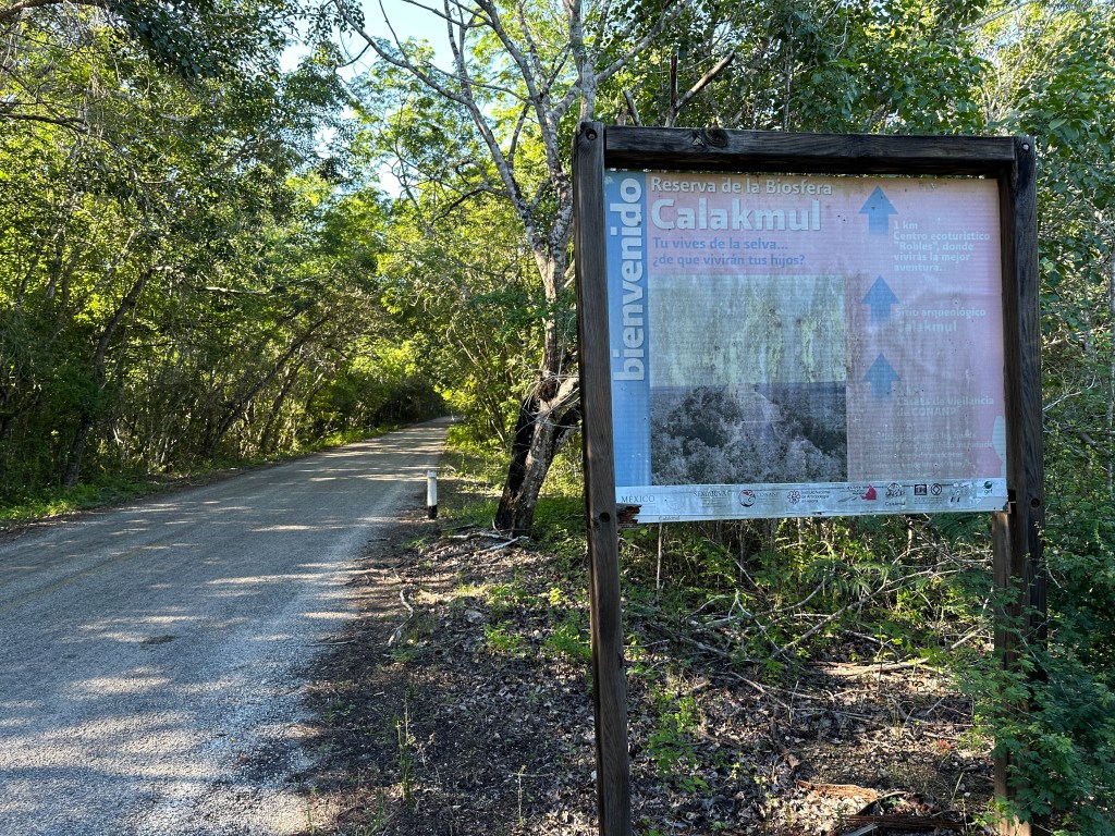 Asfaltweg door jungle met links infobord over Calakmul. 