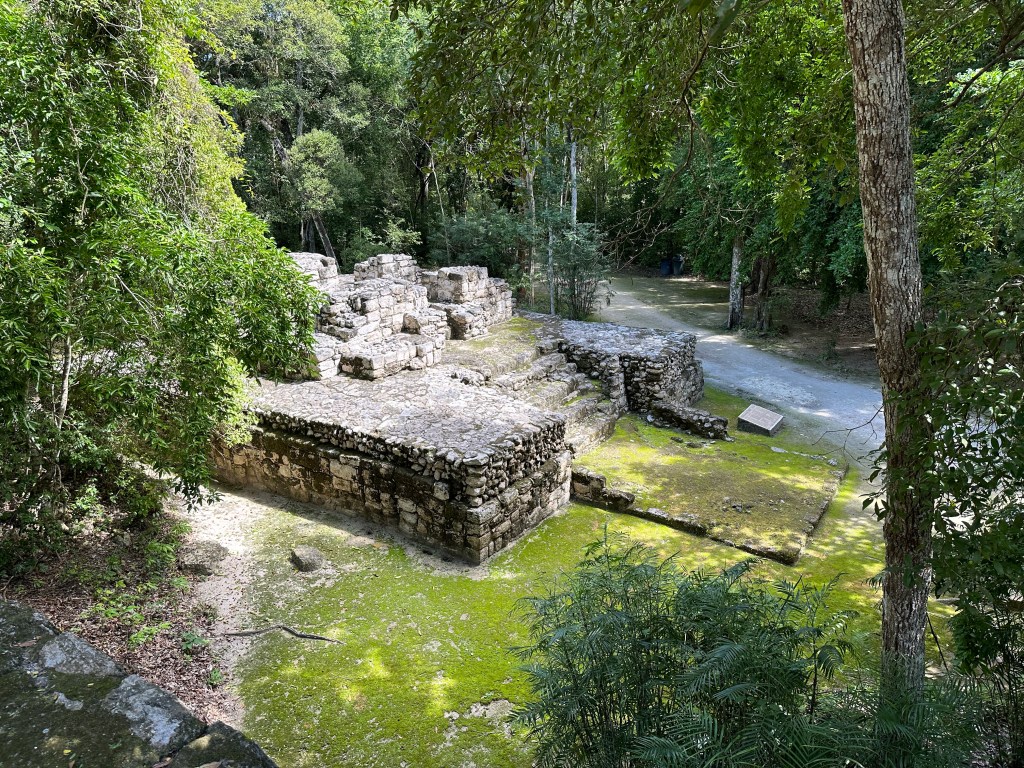 Ruïne in Calakmul tussen bomen en vanuit de hoogte gezien