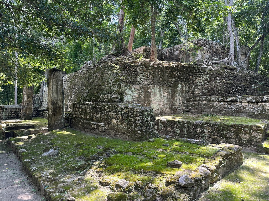 Tempel door groen en bomen overwowekerd in Calakmul