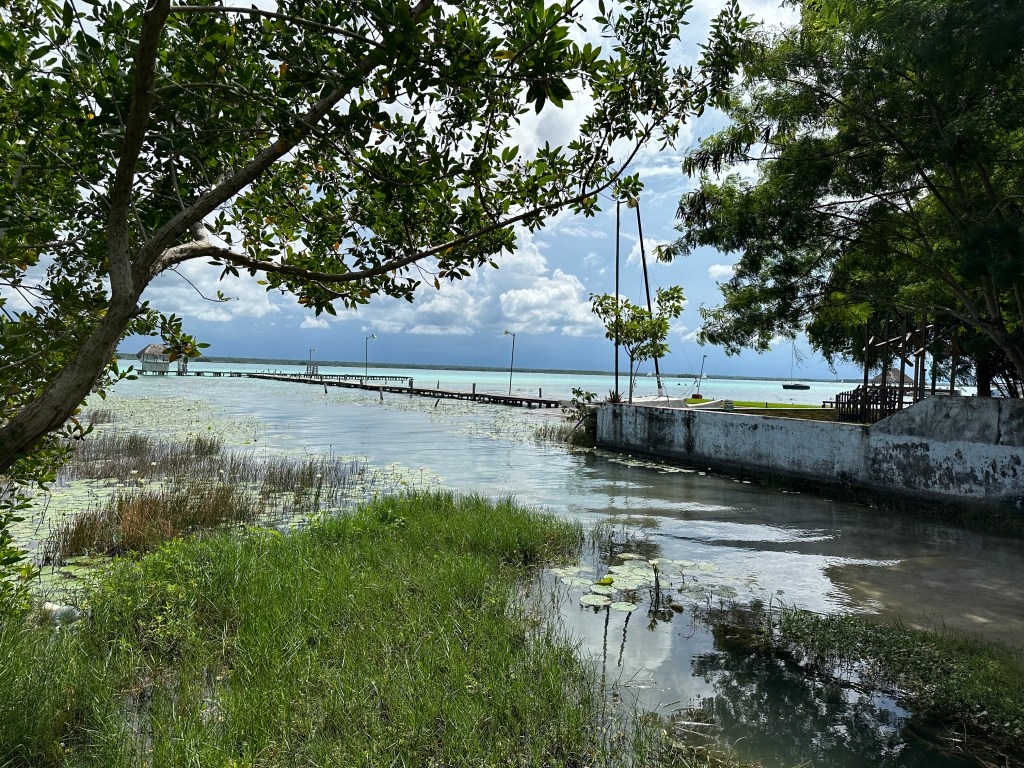 De lagune van Bacalar van tussen het struikgewas gezien. 