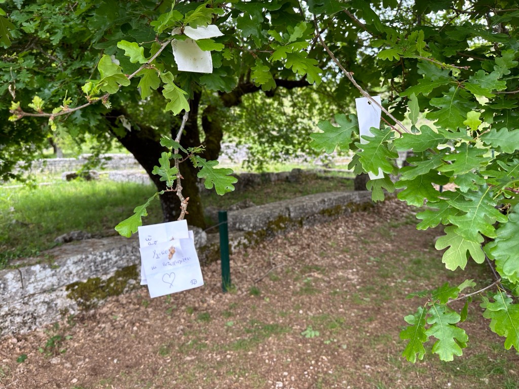 Briefjes aan takken van eikenboom in Dodoni, Centraal Griekenland