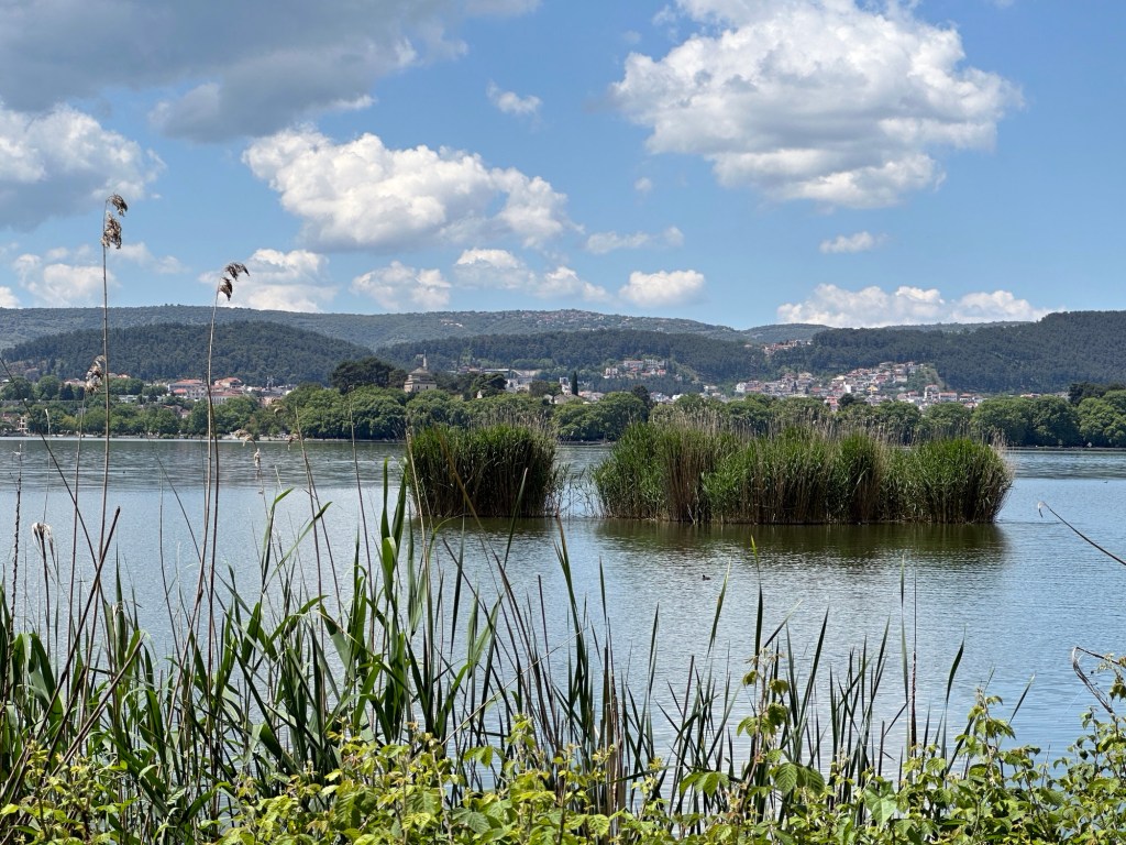 Meer met piepklein begroeid eilandje in Nissaki, Ioannina, Centraal Griekenland