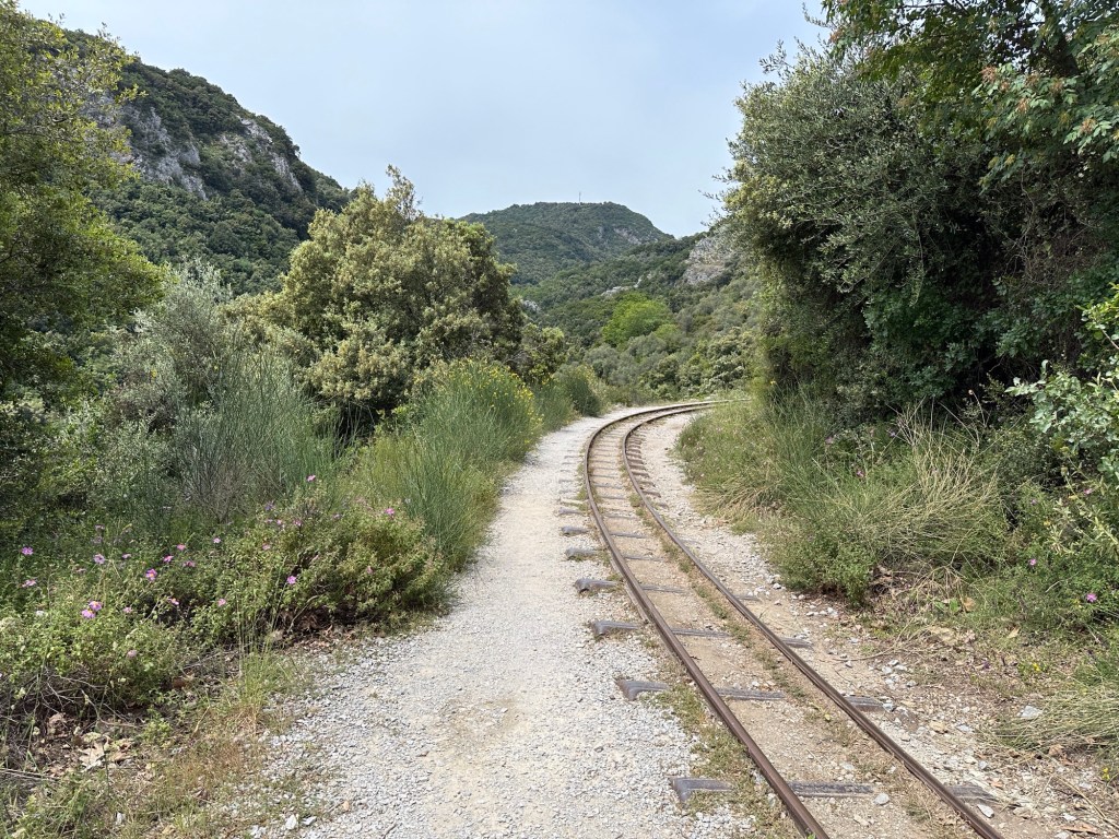 Milies: spoorlijn op beboste helling
