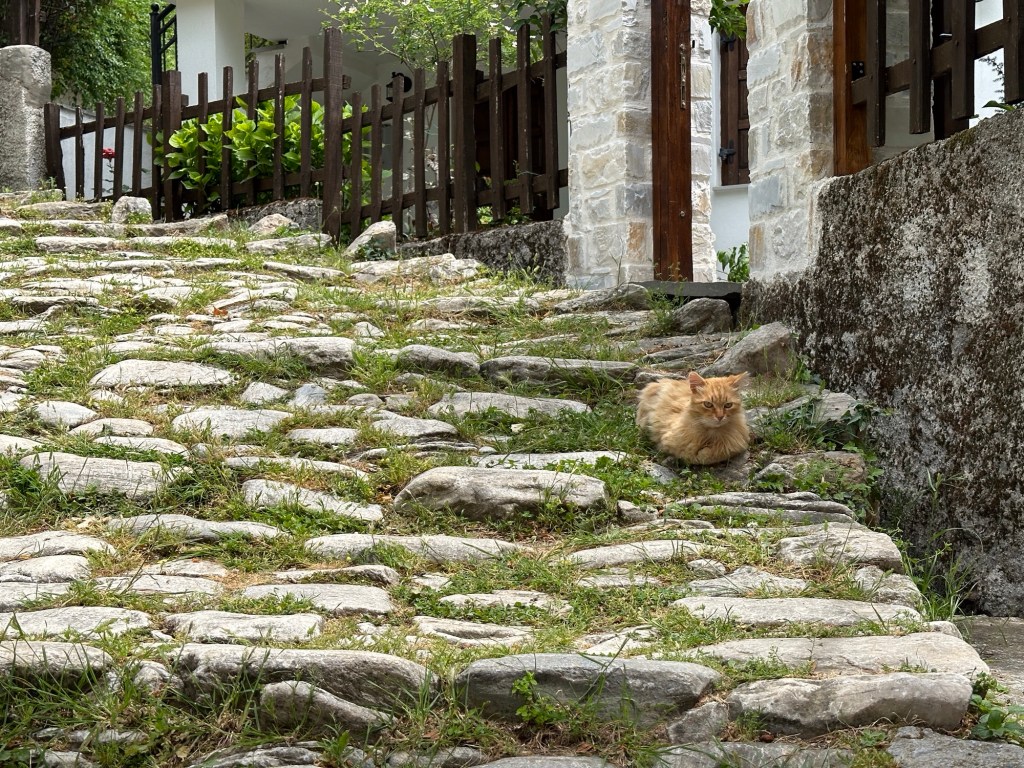 Hobbelig kasseistraatje met rosse kat links in Milies