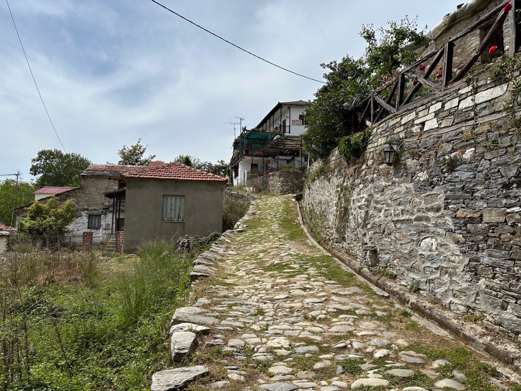 Vizitsa: overgroeid kasseiwegje met vervallen huis