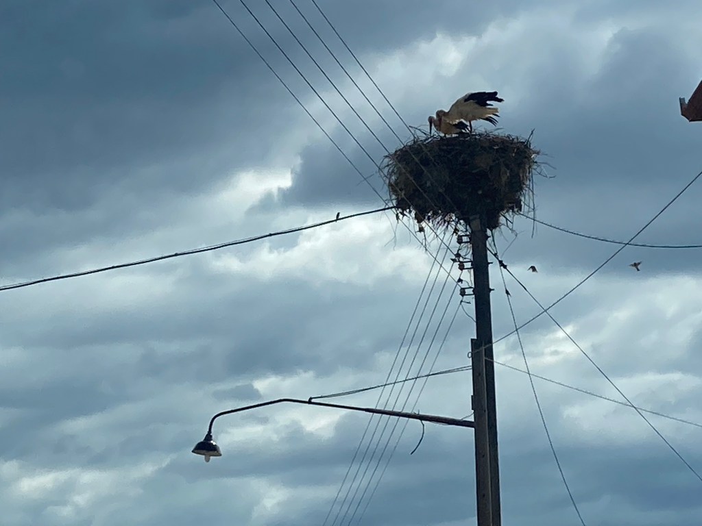 Lantaarnpaal met ooievaarsnest, Macedonië