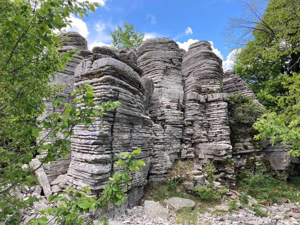 Close-up van het Stone Forest in Vikos,, Centraal Griekenland
