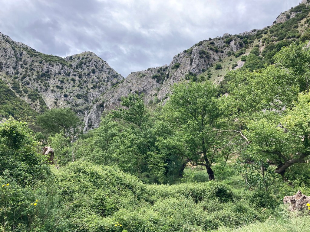 Groene Louros-vallei, Centraal Griekenland
