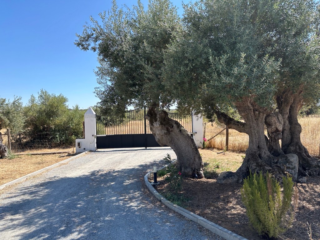 Oude olijfbomen en toegangshek van Monte de Santa Maria, Monsaraz