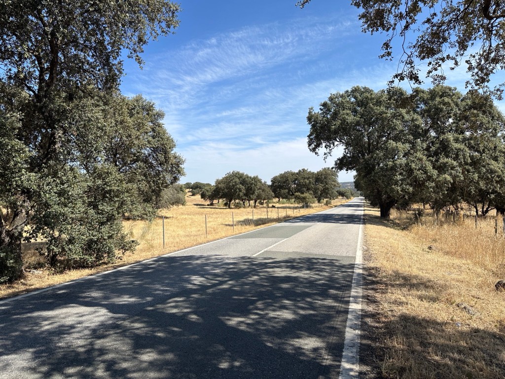 Kaarsrechte weg Elvas met verdroogde graslanden langs beide kanten