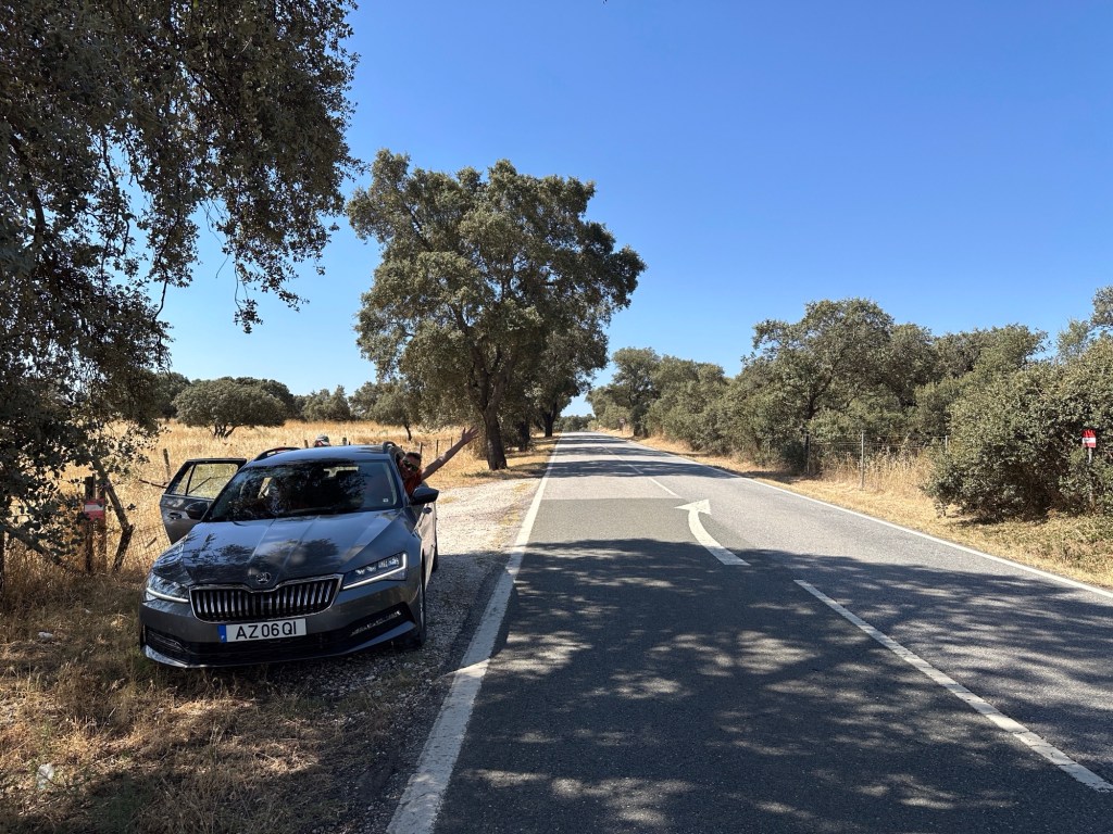 Auto in de schaduw van bomen langs asfaltweg naar Elvas
