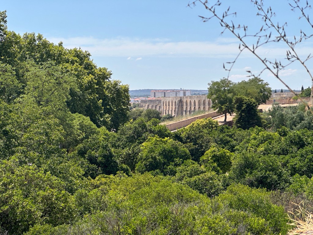 Armoreira Aqueduct in Elvas, Alentejo met bomen op voorgrond