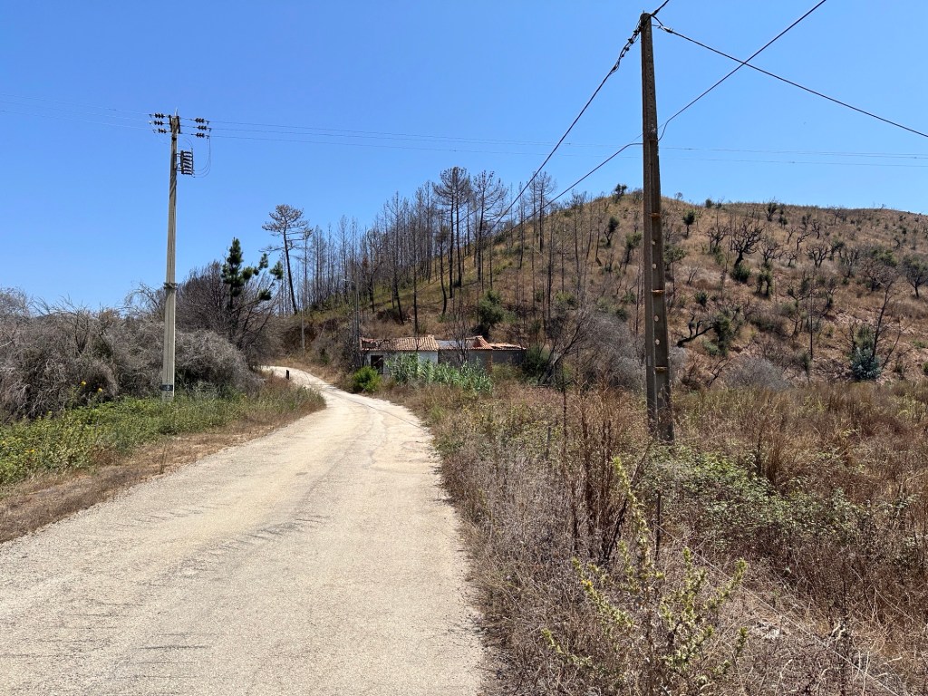 Grindweg met afgebrande helling in Zambujeira de Baixo
