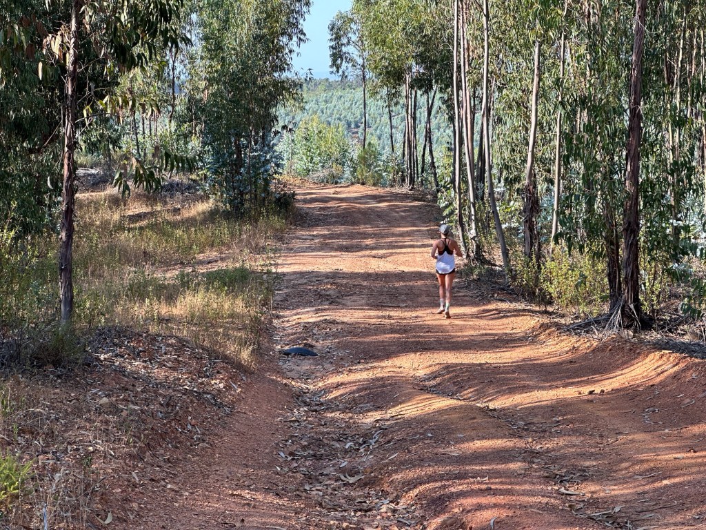 Jogster in eucalyptusbos in São Teotónio