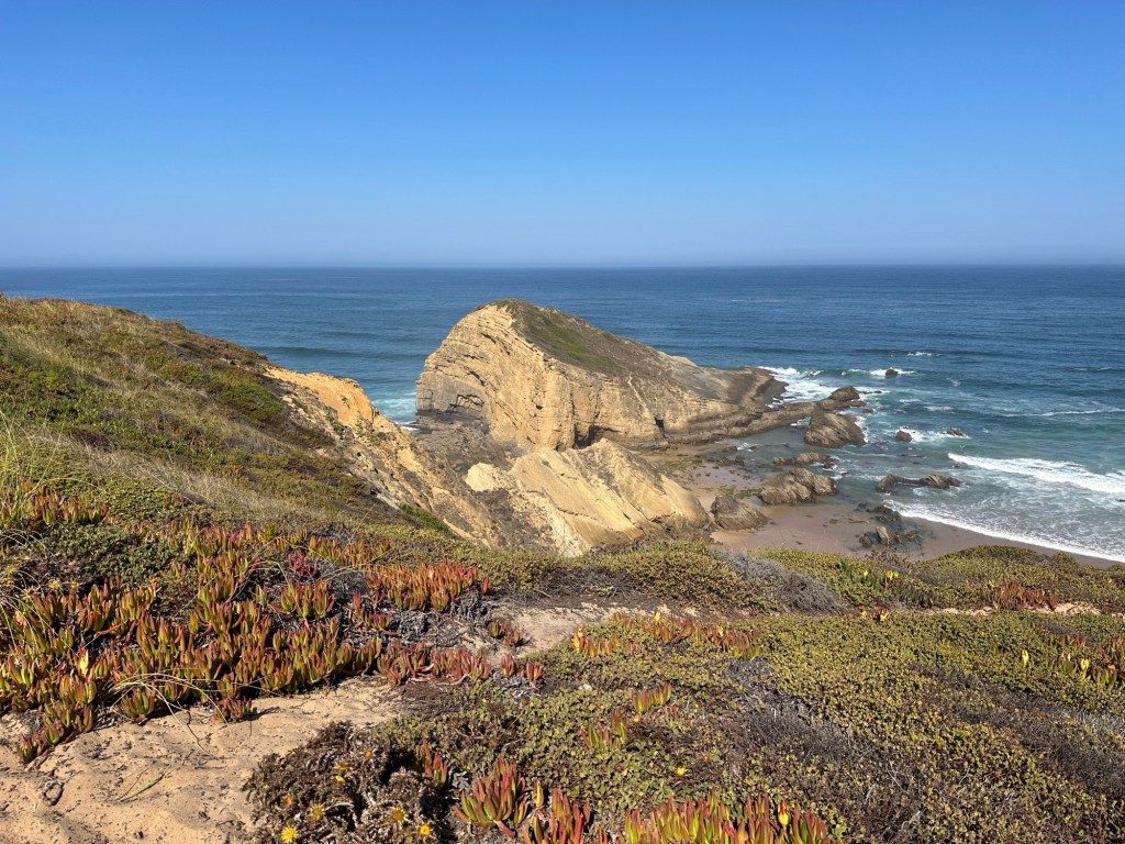 Mediterrane begroeiing op rotsen, baai met blauwe zee en strandje op de Rota Vicentina