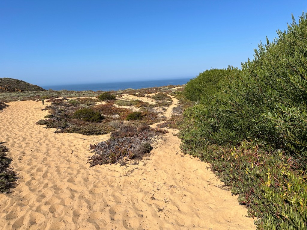 Duinen, zandweg en duinen-begroeiing op de Rota Vicentina