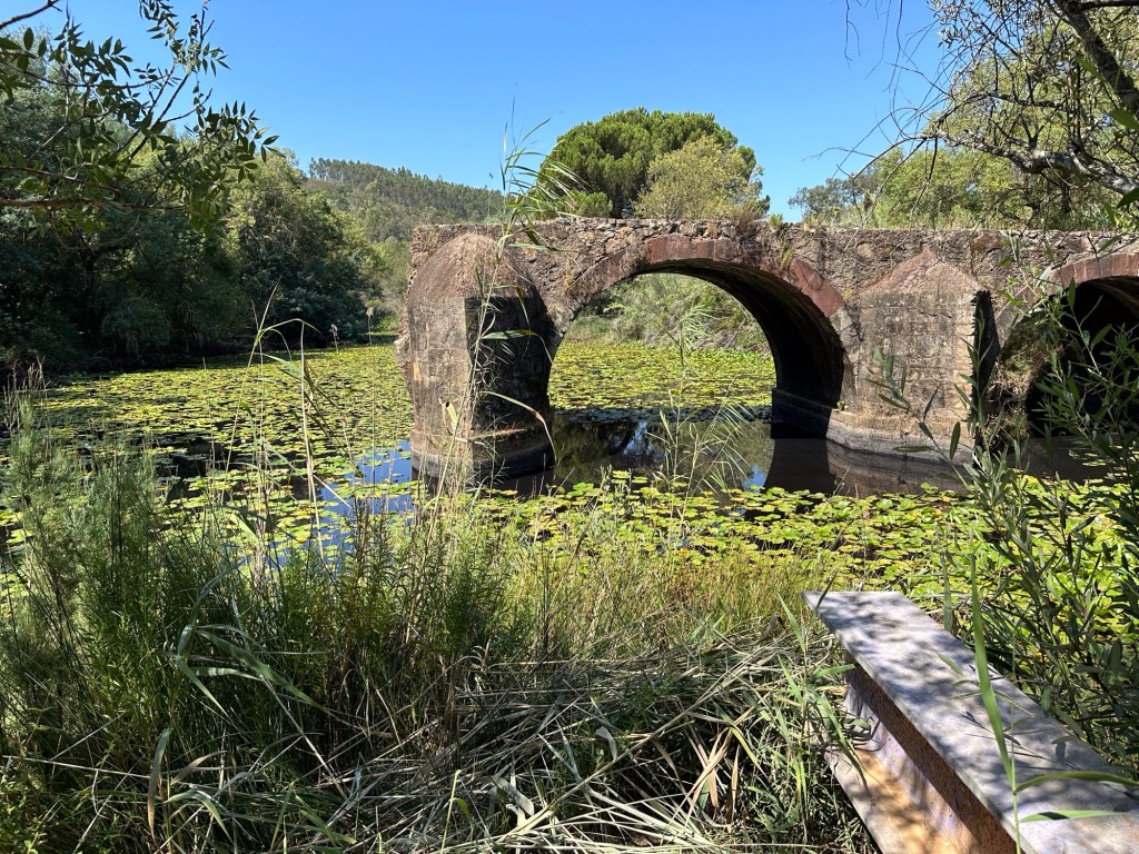 Twee bogen van oude Ponte de Santa Maria  brug over meertje met veel waterplanten 