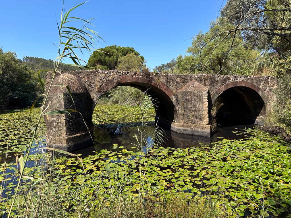 Close-up van de ruïne van de Ponte de Santa Maria brug