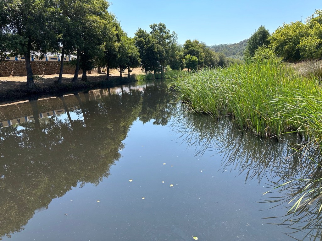 Meertje met dammetje en bomen in Santa Clara e Velha