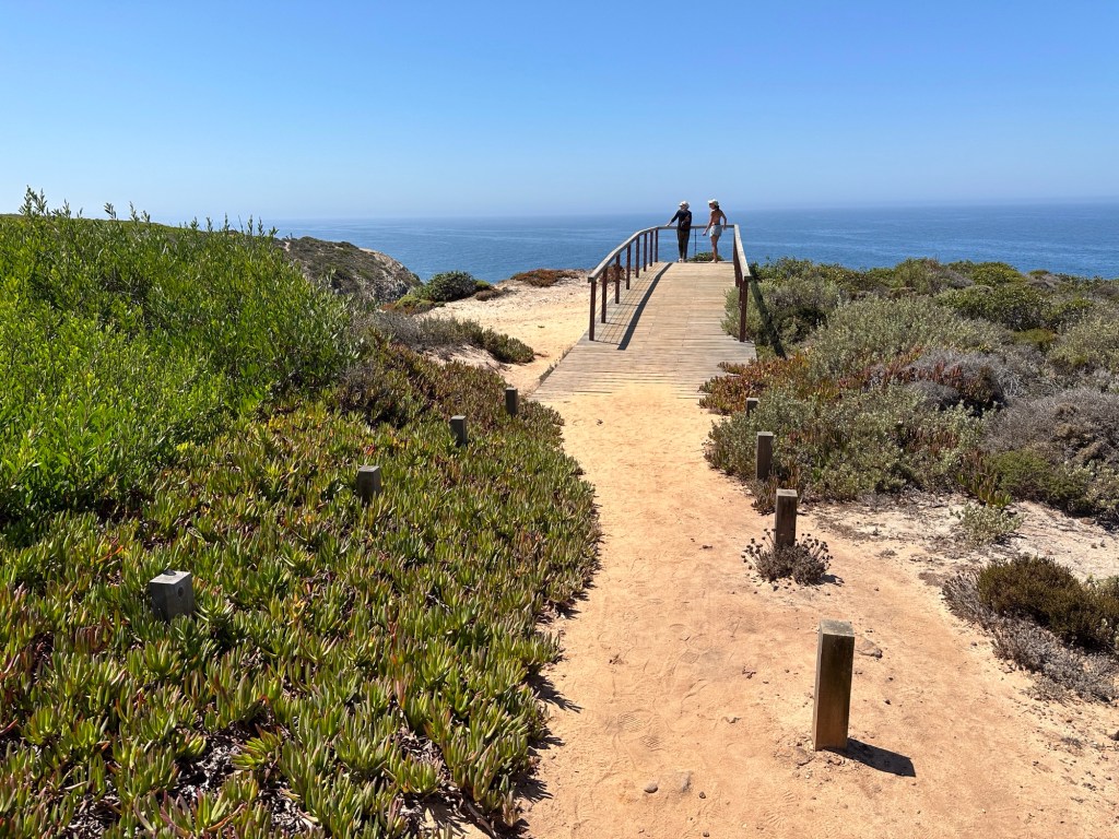 Zandpaadje en houten brugje in begroeide duinen van Cabo Sardão