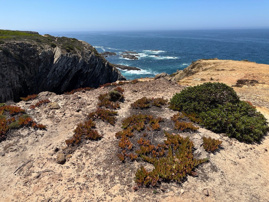 Duinen en rotsen in Cabo Sardão