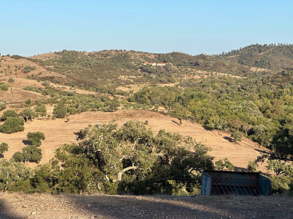 Zonovergoten begroeide heuvels in Alentejo, Portugal