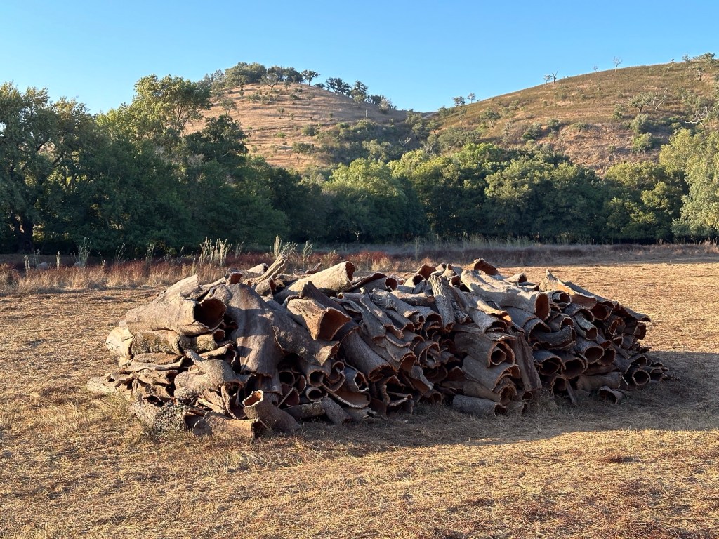 Opgestapelde schors van kurkeiken
