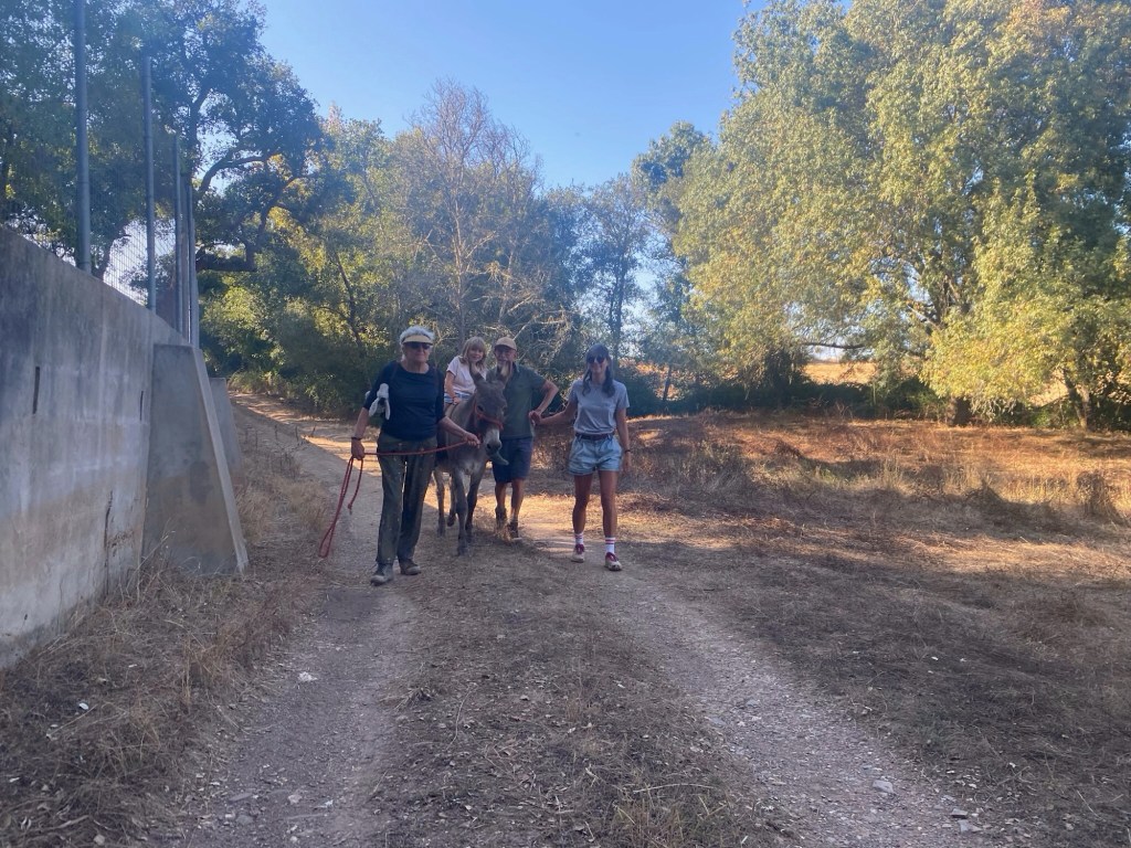 Toeristen met kindje op ezel in Castelo do Burro