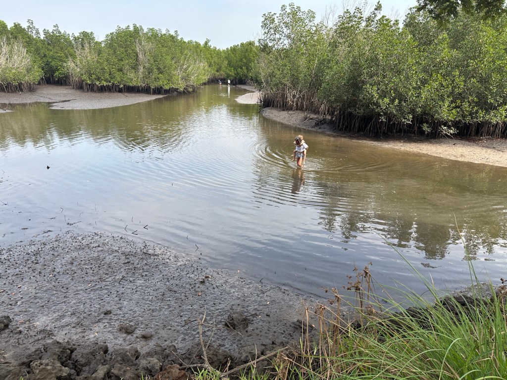 Toeriste met kind op rug waadt door mangrove-riviertje