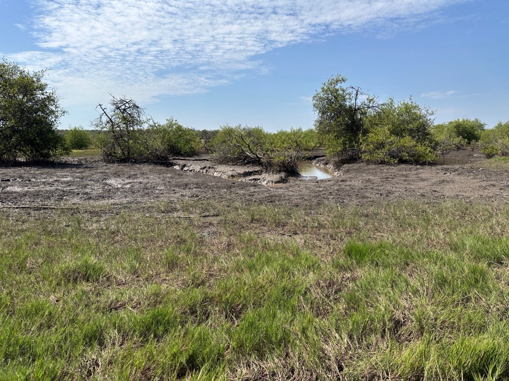 Gracht meanderend door moerasland