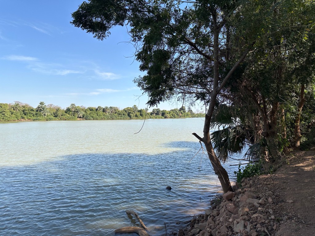 Gambia-rivier met bomen recht in de schaduw