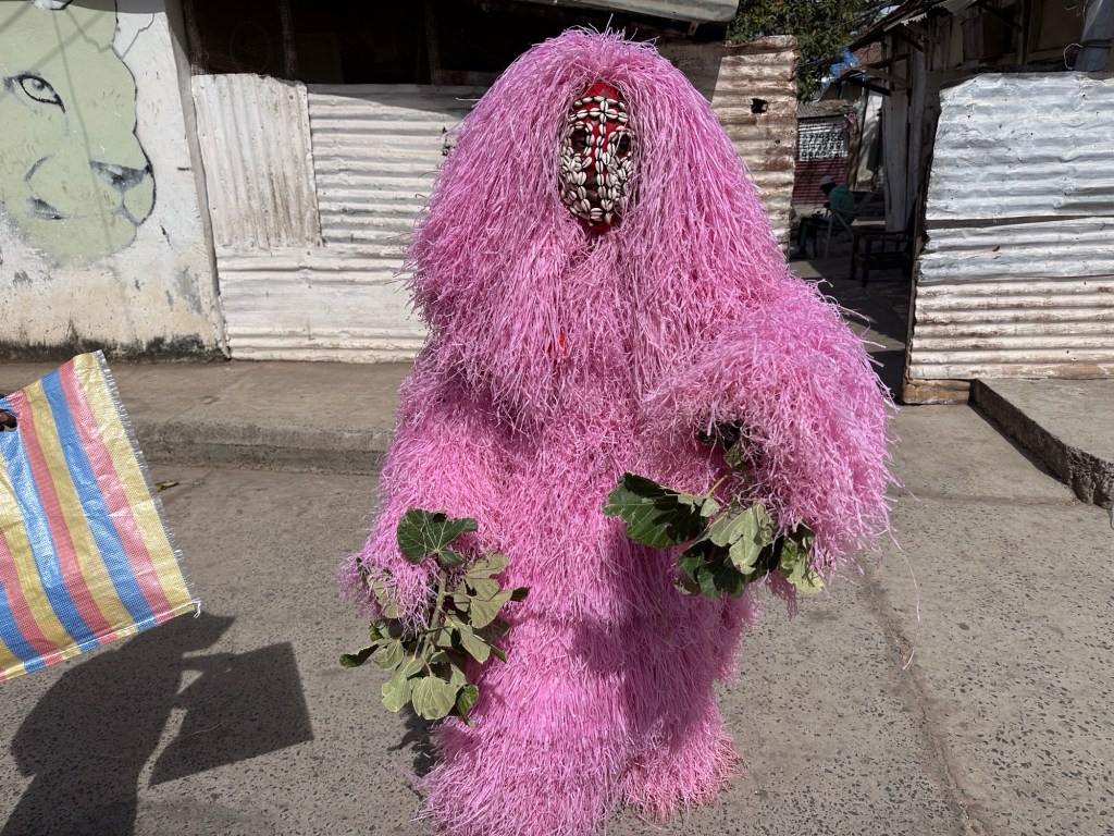 Dansende figuur in roze met masker en plantentakken in de handen. 