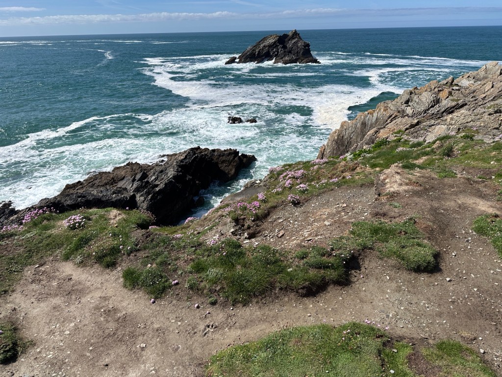 De oceaan vanaf Pentire Head met Goose Rock