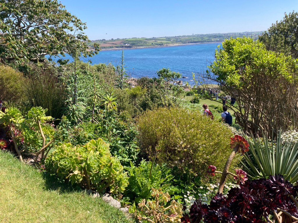 Rotstuin van Saint Michaels Mount met zee op achtergrond